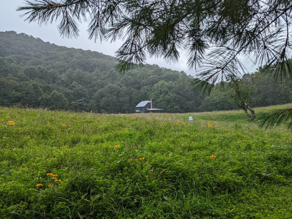 View from the west side of the property