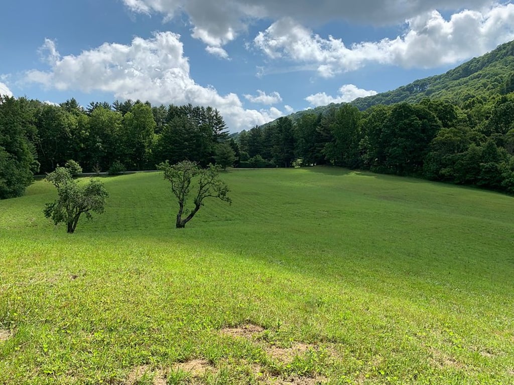 Big Ridge field